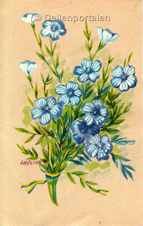 bt-003-vykort-linblomma