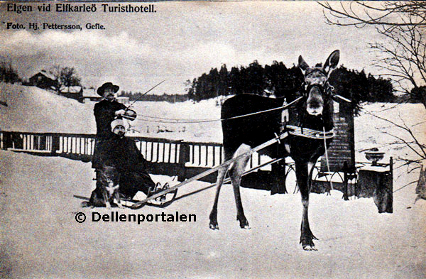 Bilden ägs av Åke Nätterö och Dellenportalen.se och får inte användas utan tillstånd