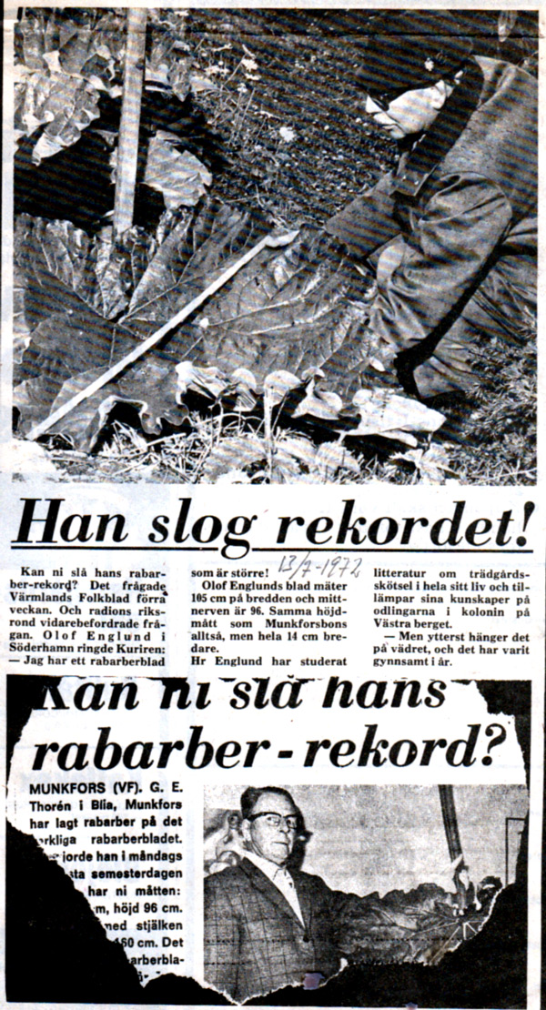sha-013-rabarberblad