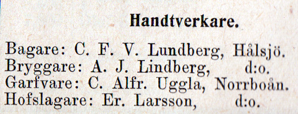 hin-040-annons-1902
